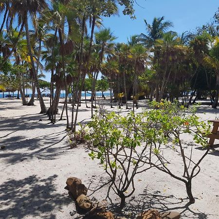 Wild Orchid Placencia Exterior foto