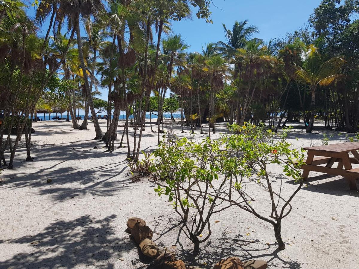 Wild Orchid Placencia Exterior foto