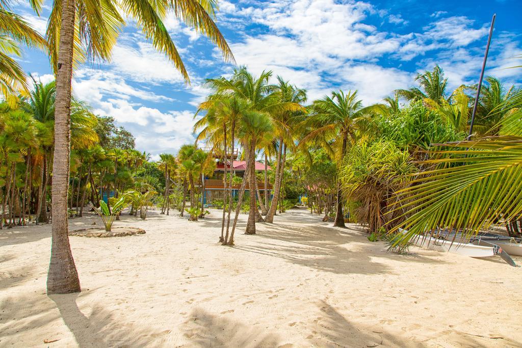Wild Orchid Placencia Exterior foto