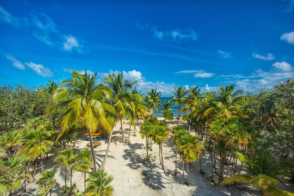 Wild Orchid Placencia Exterior foto