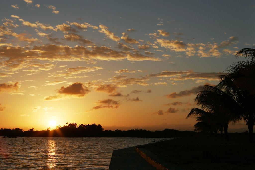 Wild Orchid Placencia Quarto foto