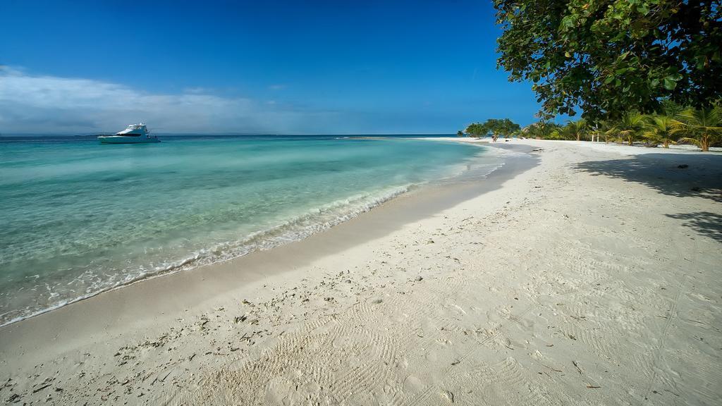 Wild Orchid Placencia Exterior foto